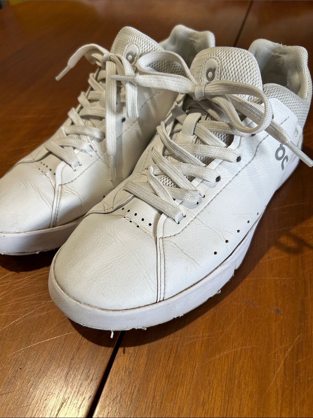 On Running The Roger Sneakers
